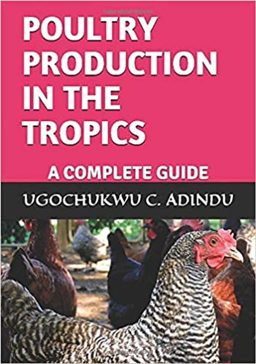 Poultry Production in the Tropics: A Complete Guide | ECHOcommunity.org